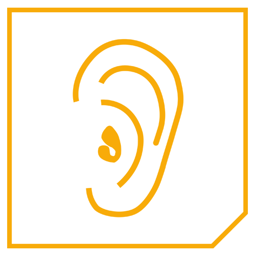 ICON Akustik OKTO